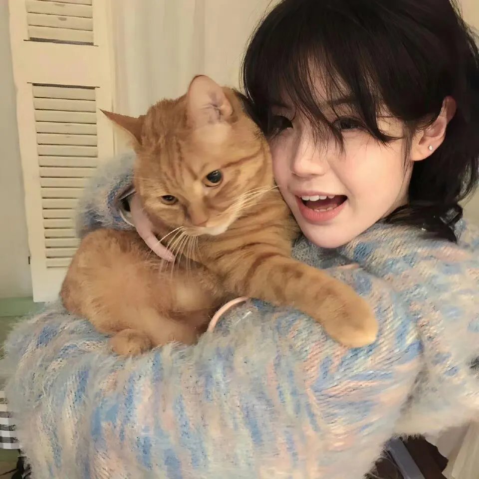 党的女儿 在线观看